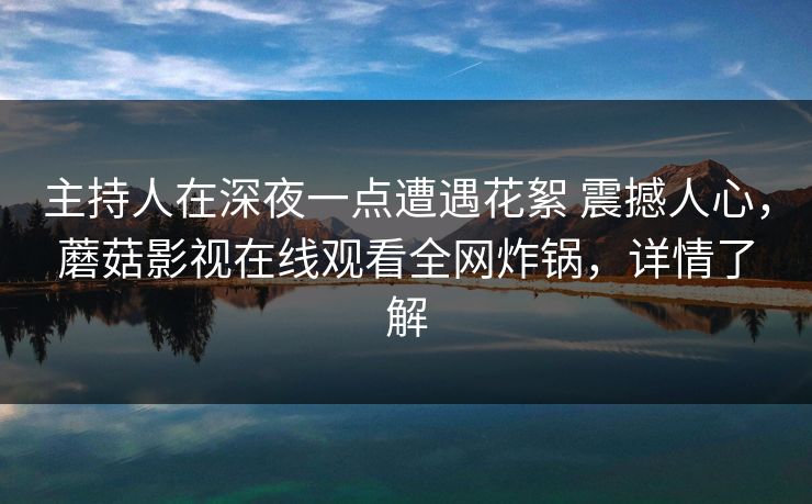 主持人在深夜一点遭遇花絮 震撼人心，蘑菇影视在线观看全网炸锅，详情了解