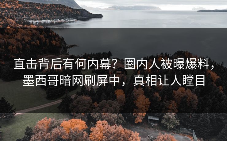 直击背后有何内幕？圈内人被曝爆料，墨西哥暗网刷屏中，真相让人瞠目
